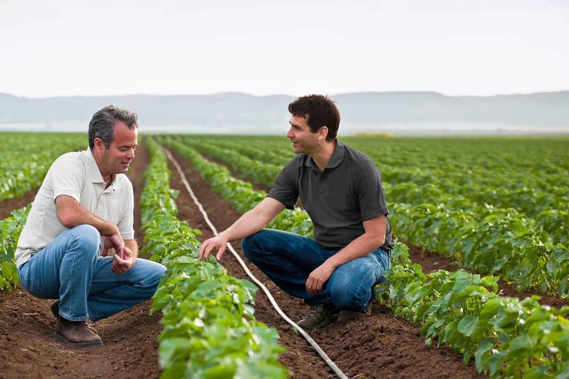 Beneficiază în mod gratuit de suport agronomic pentru orice problemă apărută în cultura ta. Experţii Rivulis te pot consilia cu plăcere!
