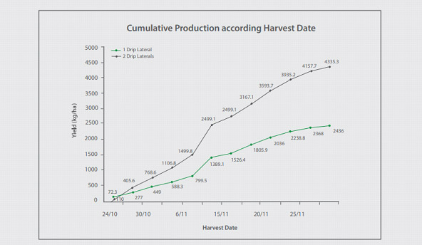 Blueberries yield and harvest date chart