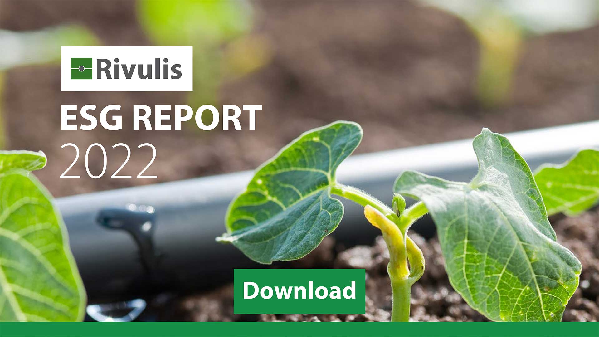 Rivulis ESG Sustainable agriculture and a climate resilient future