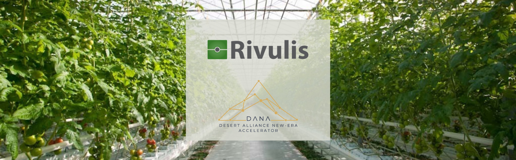 DANA GLOBAL AND RIVULIS FORGE GREEN ALLIANCE: UNVEILING SUSTAINABLE FARMING SOLUTIONS AT MASDAR CITY’S CUTTING-EDGE DEMO FARM AT COP28