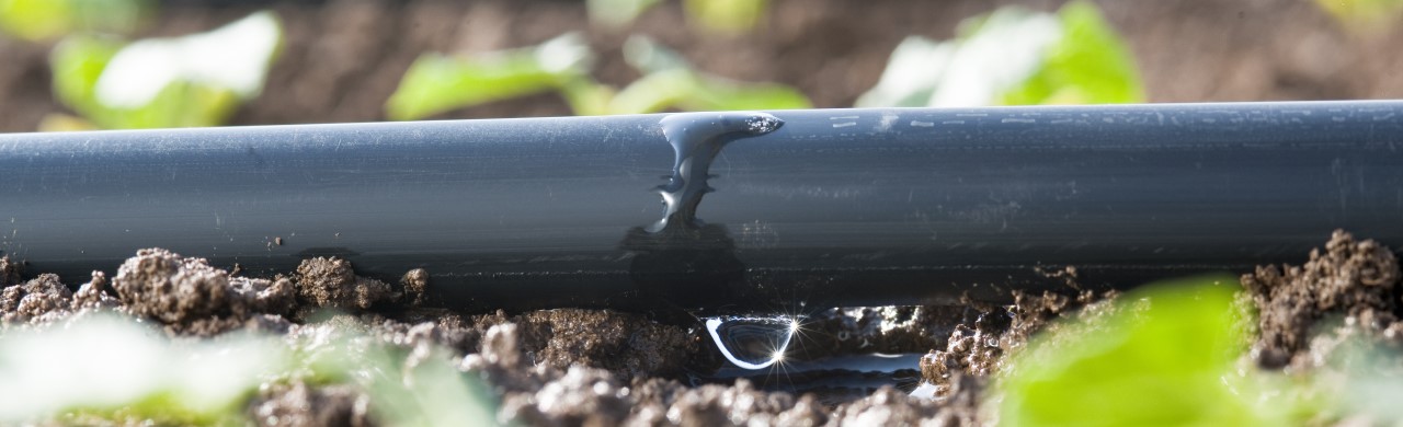 Think Beyond the Circle: How Drip Irrigation is Redefining Row-Crop Farming