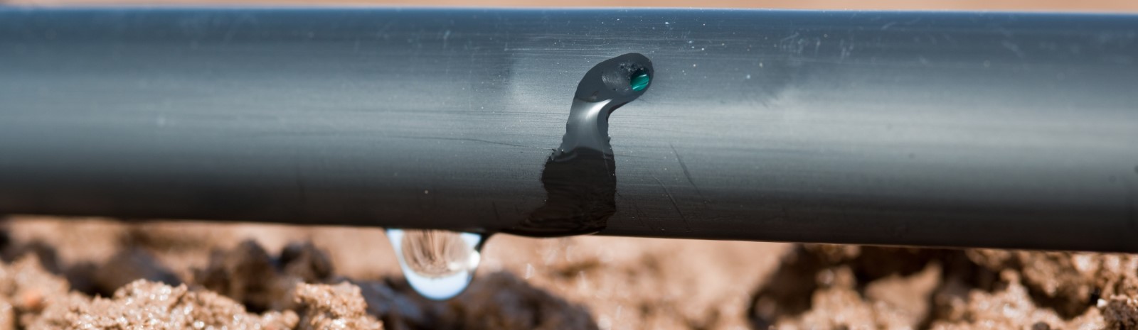 Drip Irrigation. Make the Right Choice