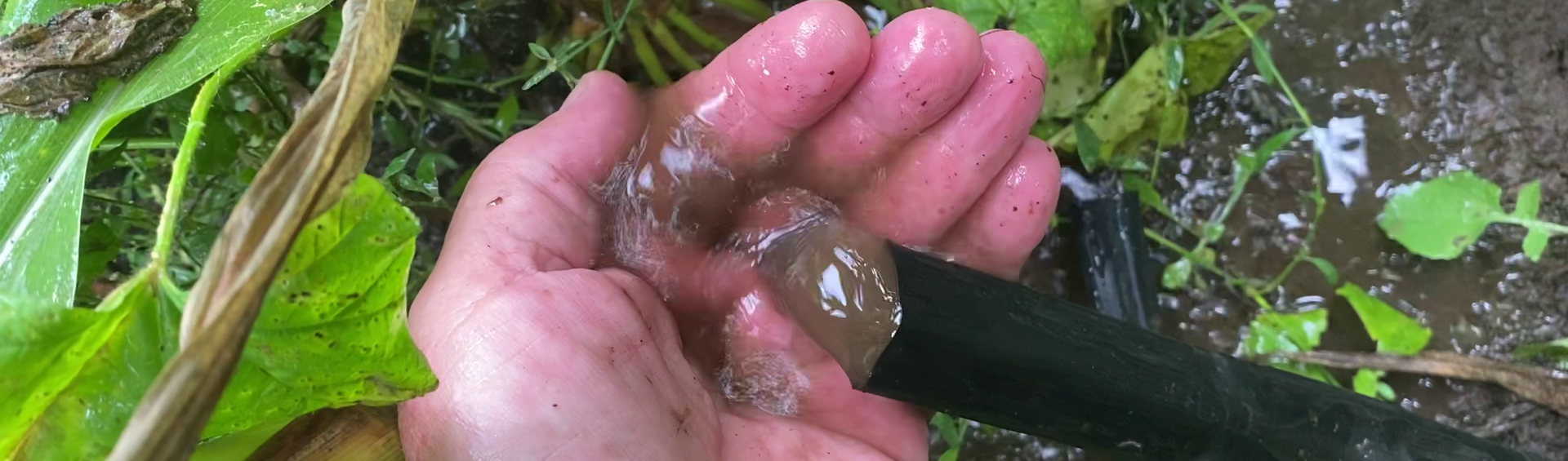 Why Flushing Your Drip System Wrong Could Be Ruining Your Yields